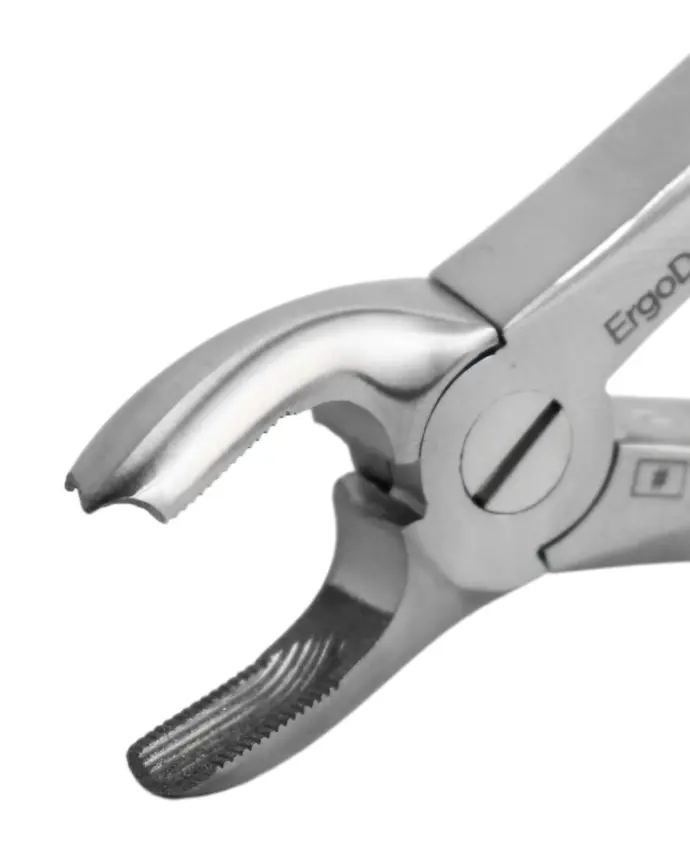 ErgoDenta diamond-coated extraction forceps — serrated beak with diamond grit for a strong grip