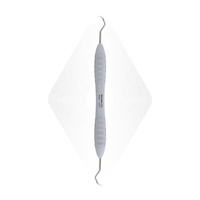 top dental instruments 2025 - ErgoDenta
