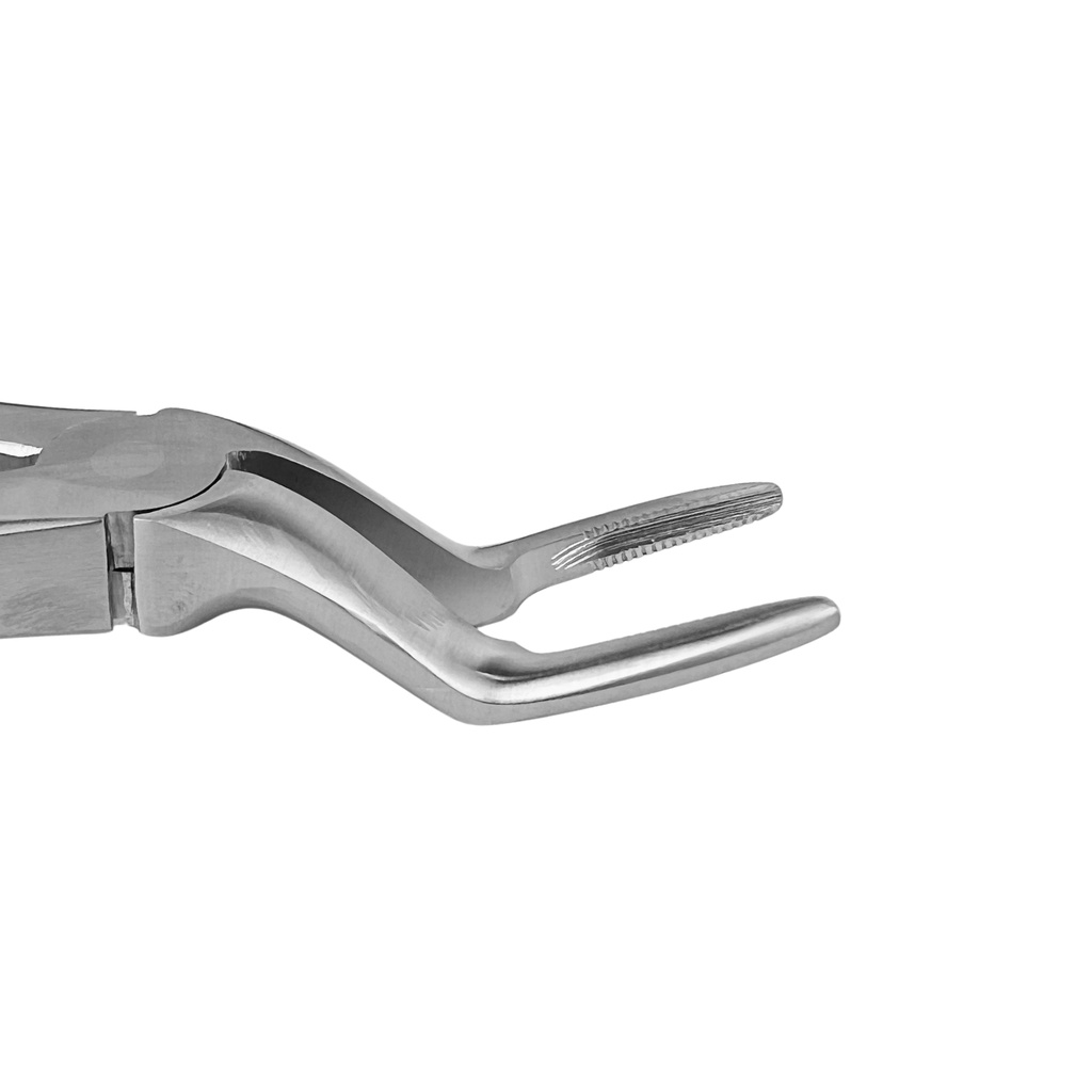 GripMaster Upper Spade Root Diamond Extraction Forcep – dental gripmaster forceps | ErgoDenta