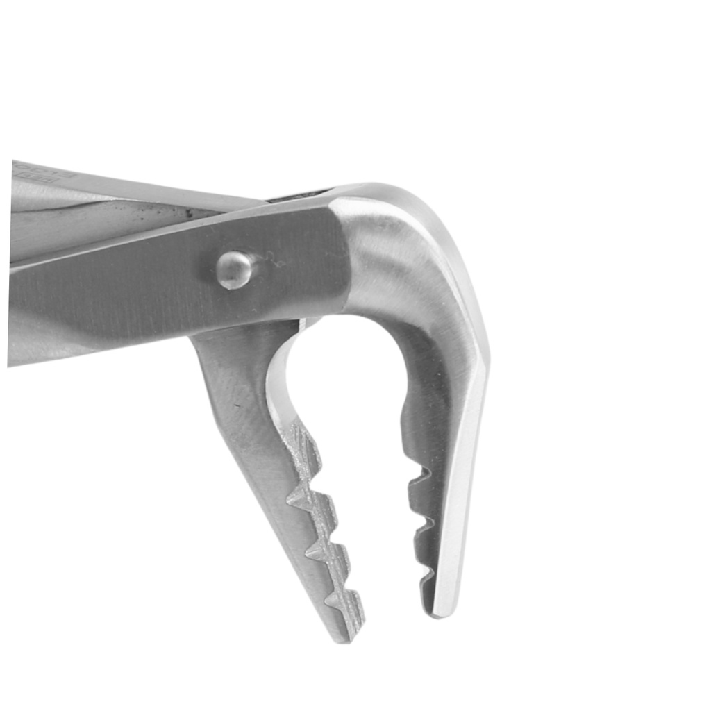 GripMaster Lower Anterior Diamond Extraction Forcep – dental gripmaster forceps | ErgoDenta