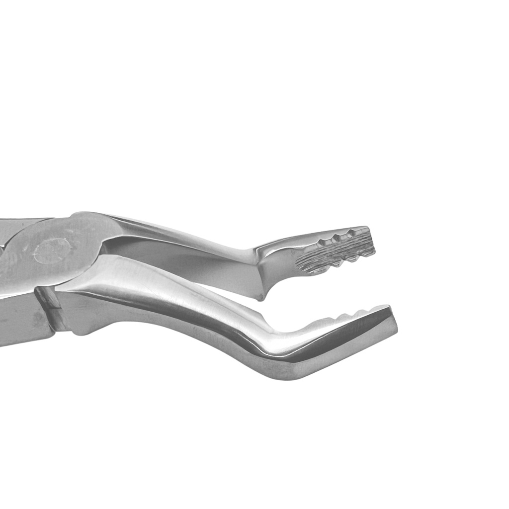 GripMaster Upper Molar Diamond Extraction Forceps – dental gripmaster forceps | ErgoDenta