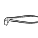 Lower Molars and Premolars – dental instrument | ErgoDenta