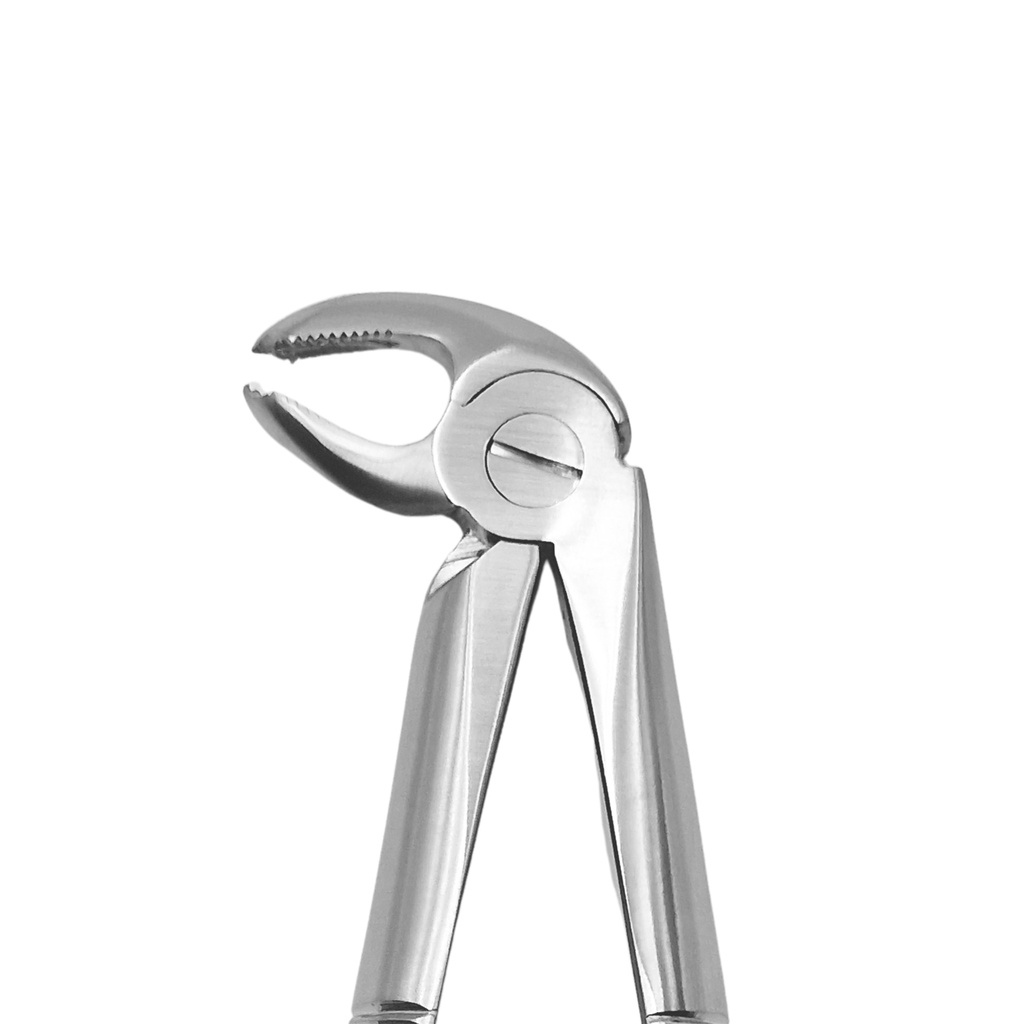 Fig. 13K Premolars, Lower Jaw – dental instrument | ErgoDenta