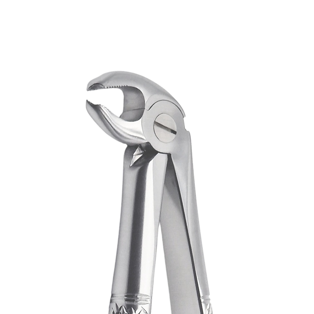 Fig. 22K Molars, Lower Jaw – dental instrument | ErgoDenta