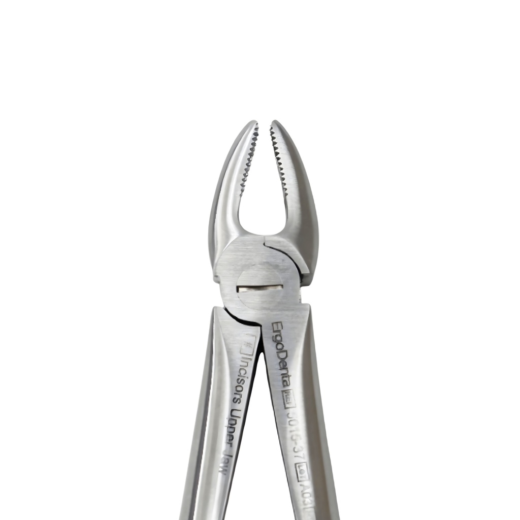 Fig. 37 Incisors, Upper Jaw – dental instrument | ErgoDenta