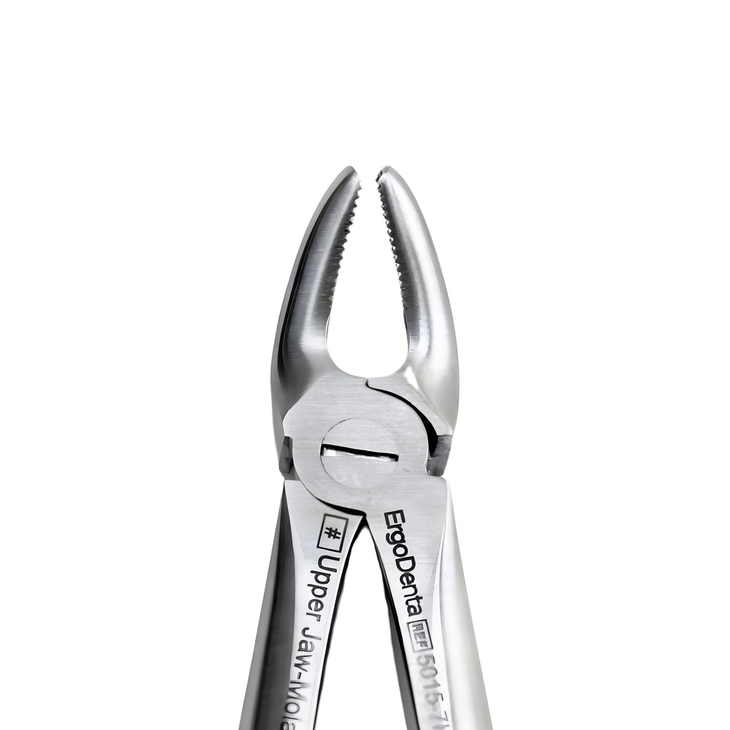 Fig. 7K Upper Jaw Molars and Incisors – dental instrument | ErgoDenta