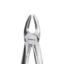 Fig. 7K Upper Jaw Molars and Incisors – dental instrument | ErgoDenta