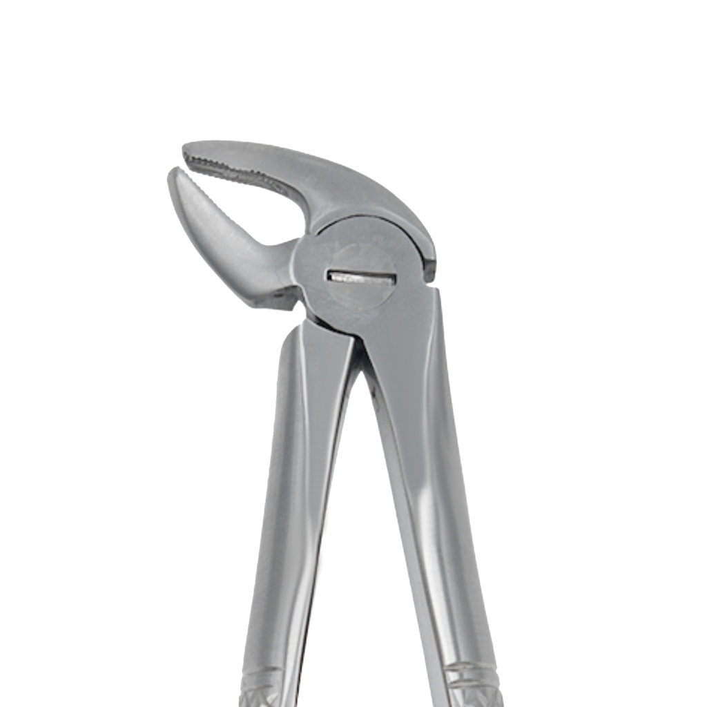 Fig. 38 Incisors and Canines, Lower Jaw – dental instrument | ErgoDenta