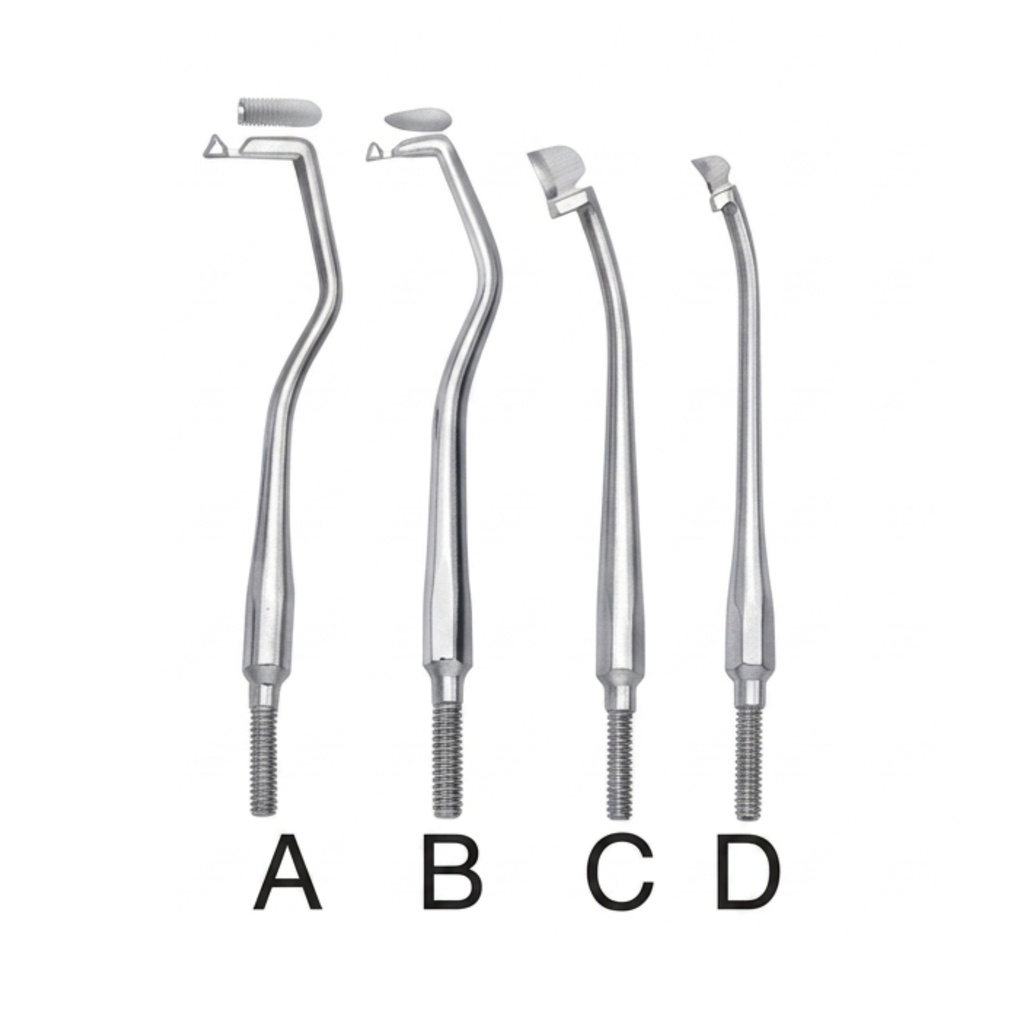 2954 (2) – dental crown removers | ErgoDenta