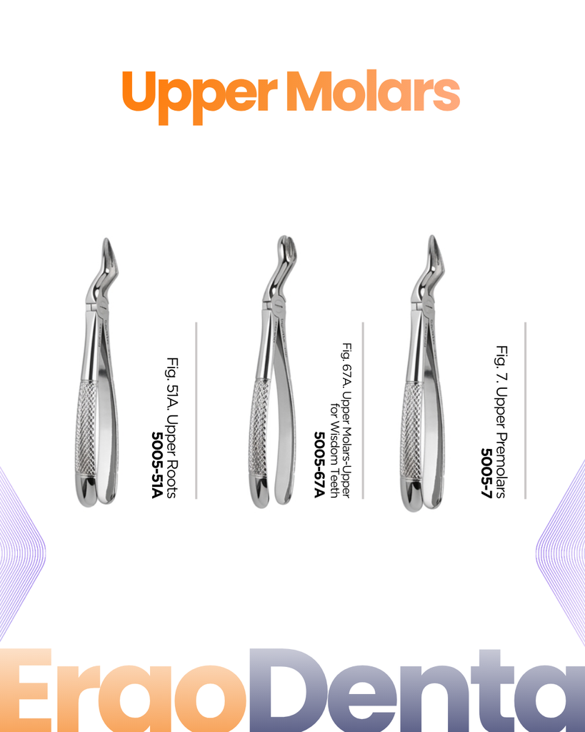 Upper Molars Forceps II – dental standard forceps | ErgoDenta
