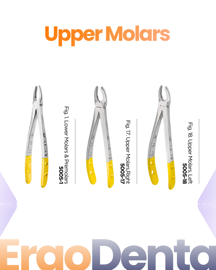 Upper Molars Forceps I – dental diamond forceps | ErgoDenta