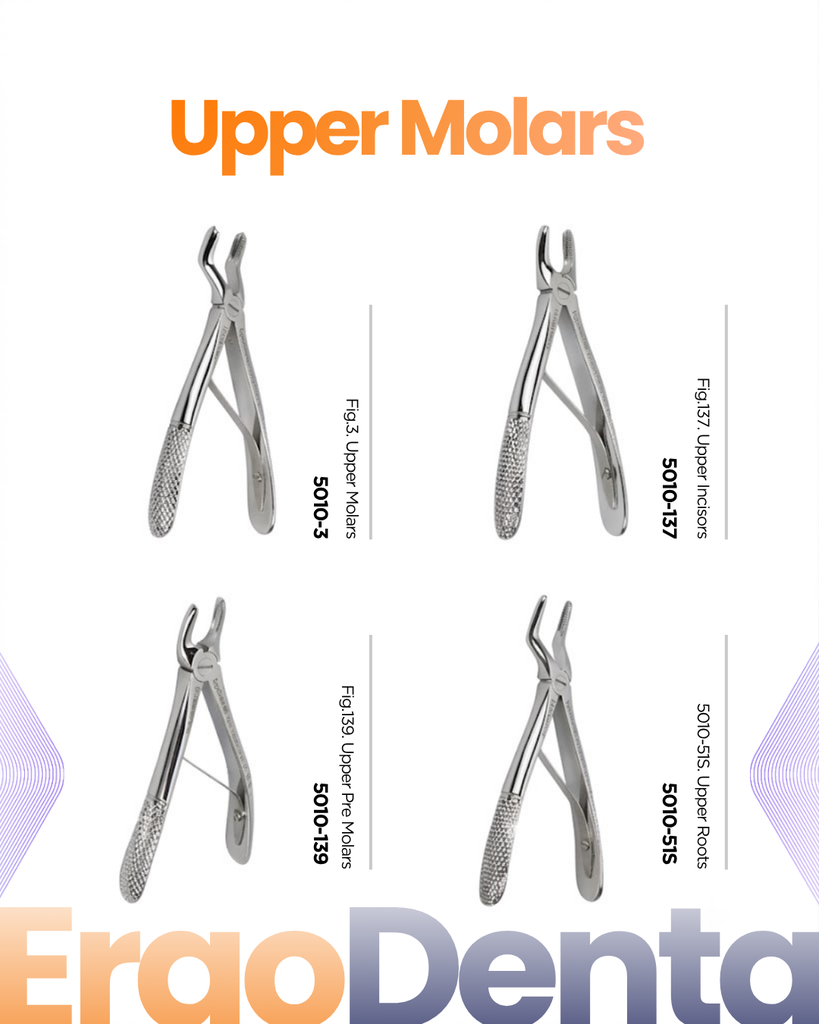 Upper Molars Forceps – dental pediatric extraction forceps | ErgoDenta