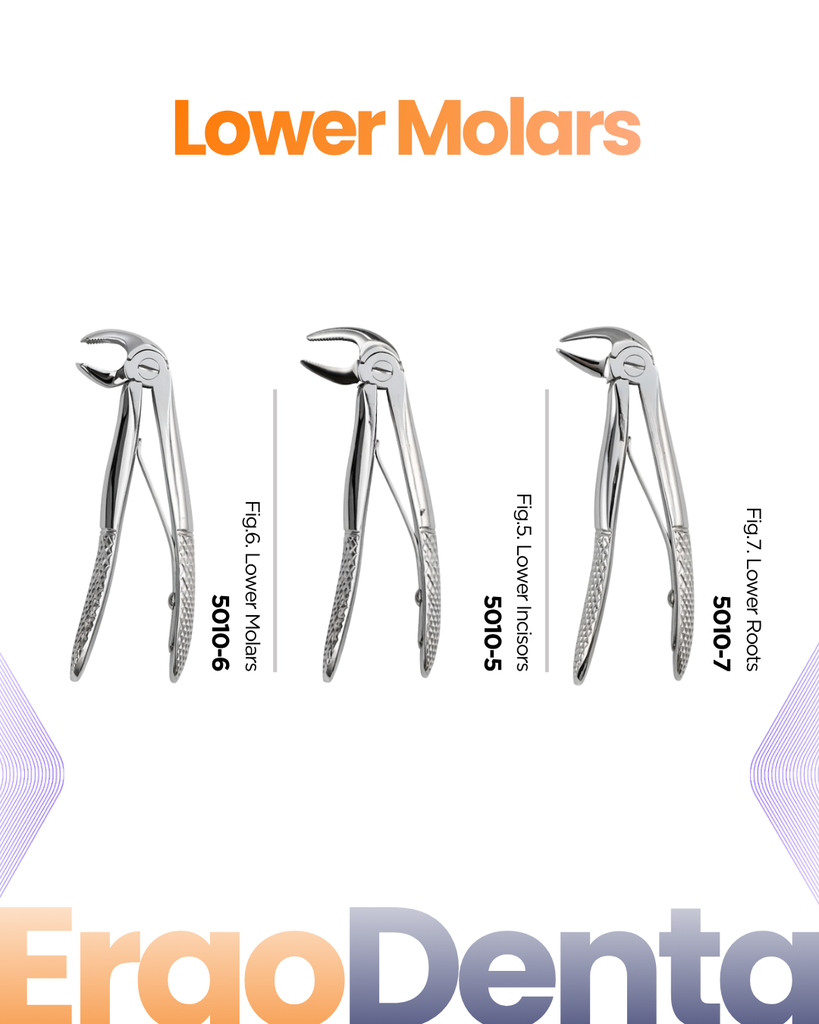Lower Molars Forceps – dental pediatric extraction forceps | ErgoDenta