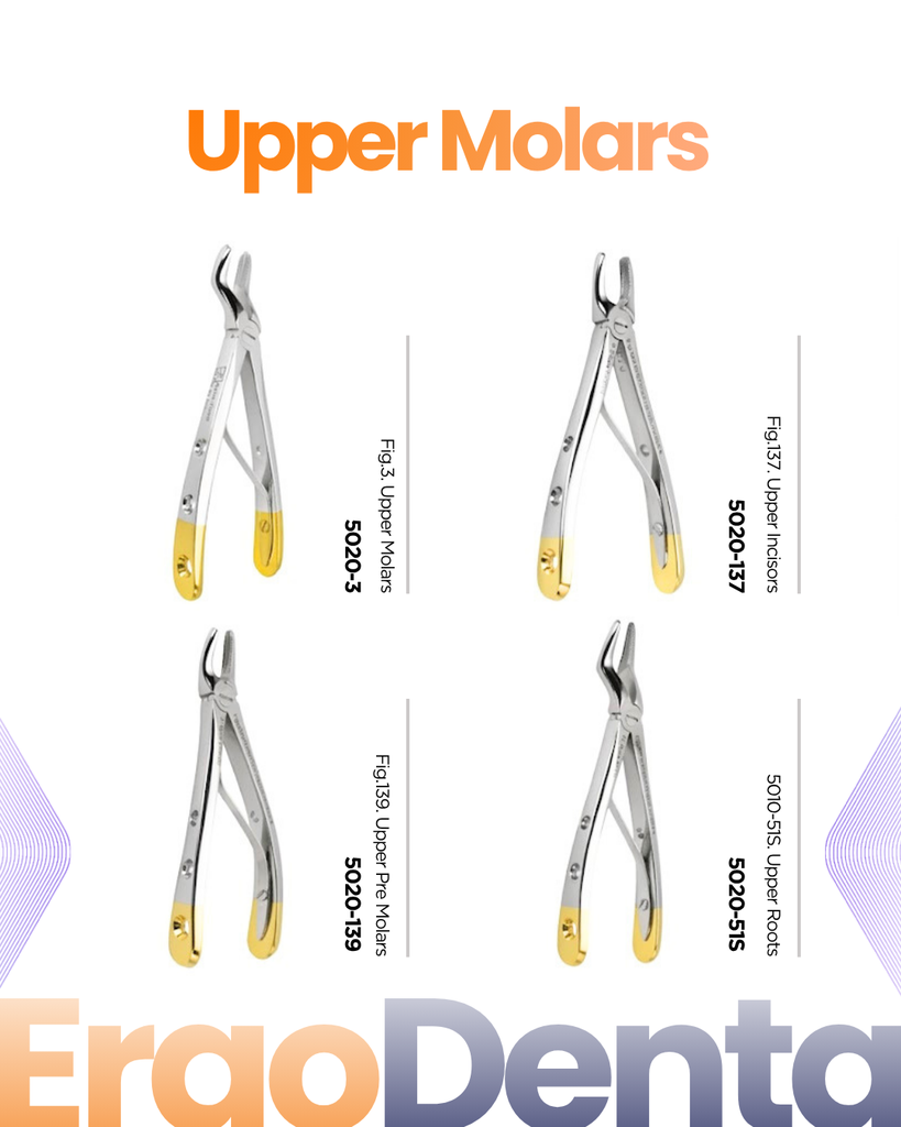 Upper Molars Forceps – dental diamond child forceps | ErgoDenta
