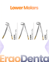 Lower Molars Forceps – dental diamond child forceps | ErgoDenta
