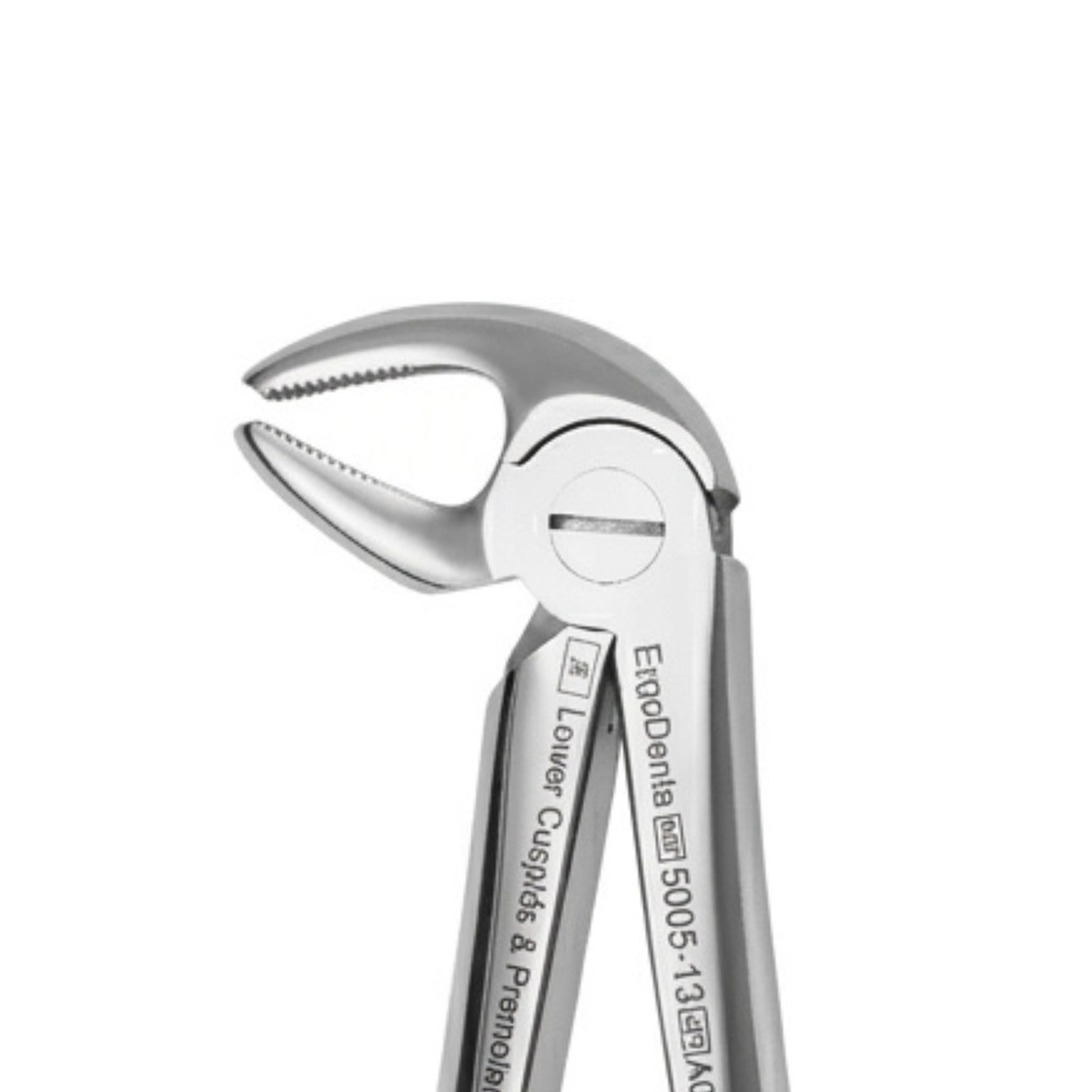 Lower Molars and Premolars – dental standard forceps | ErgoDenta