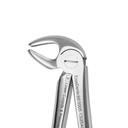 Lower Molars and Premolars – dental standard forceps | ErgoDenta