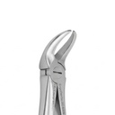 Lower Molars – dental standard forceps | ErgoDenta