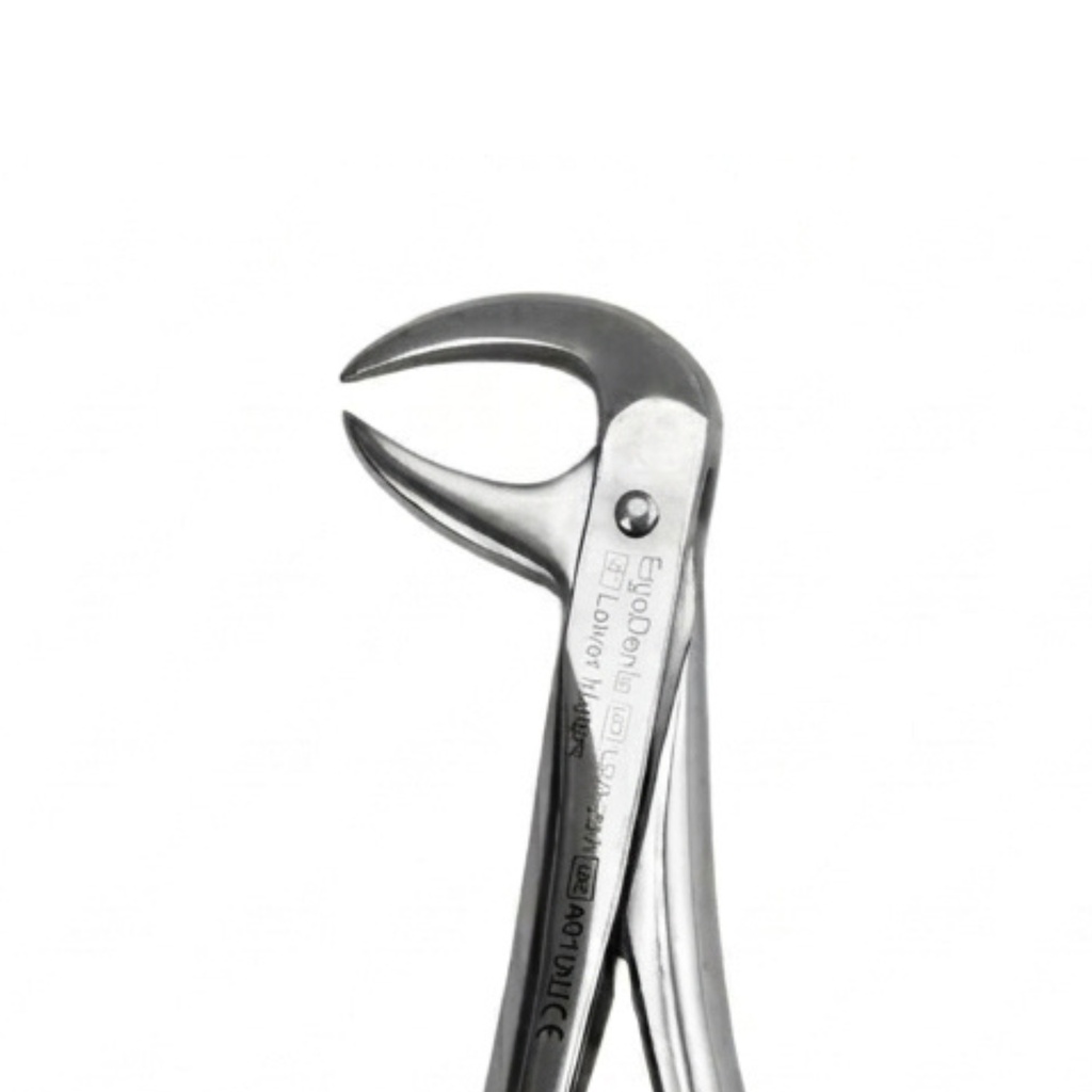 Lower Molars – dental standard forceps | ErgoDenta
