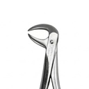 Lower Molars – dental standard forceps | ErgoDenta