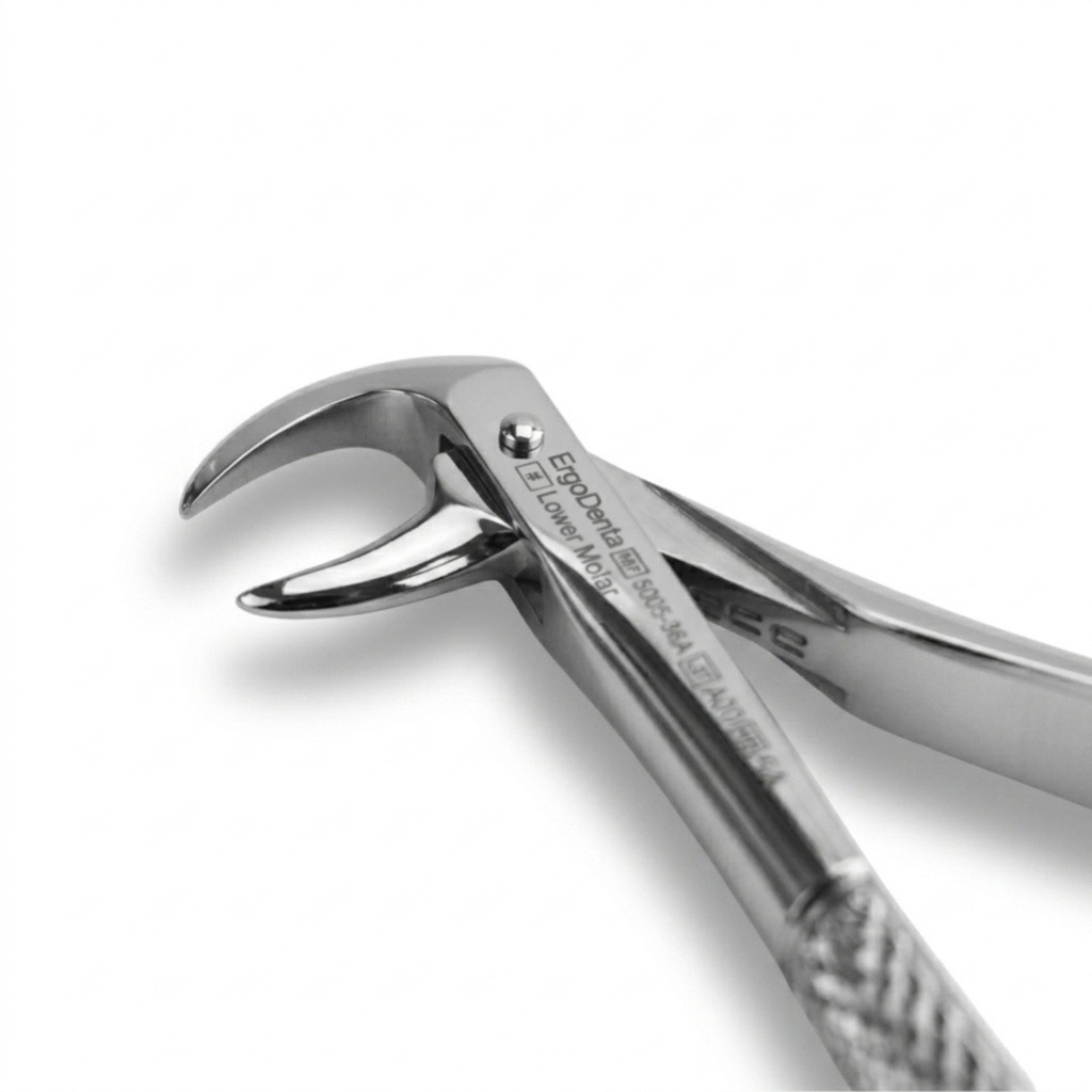 Lower Molars – dental standard forceps | ErgoDenta