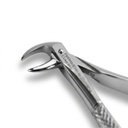 Lower Molars – dental standard forceps | ErgoDenta