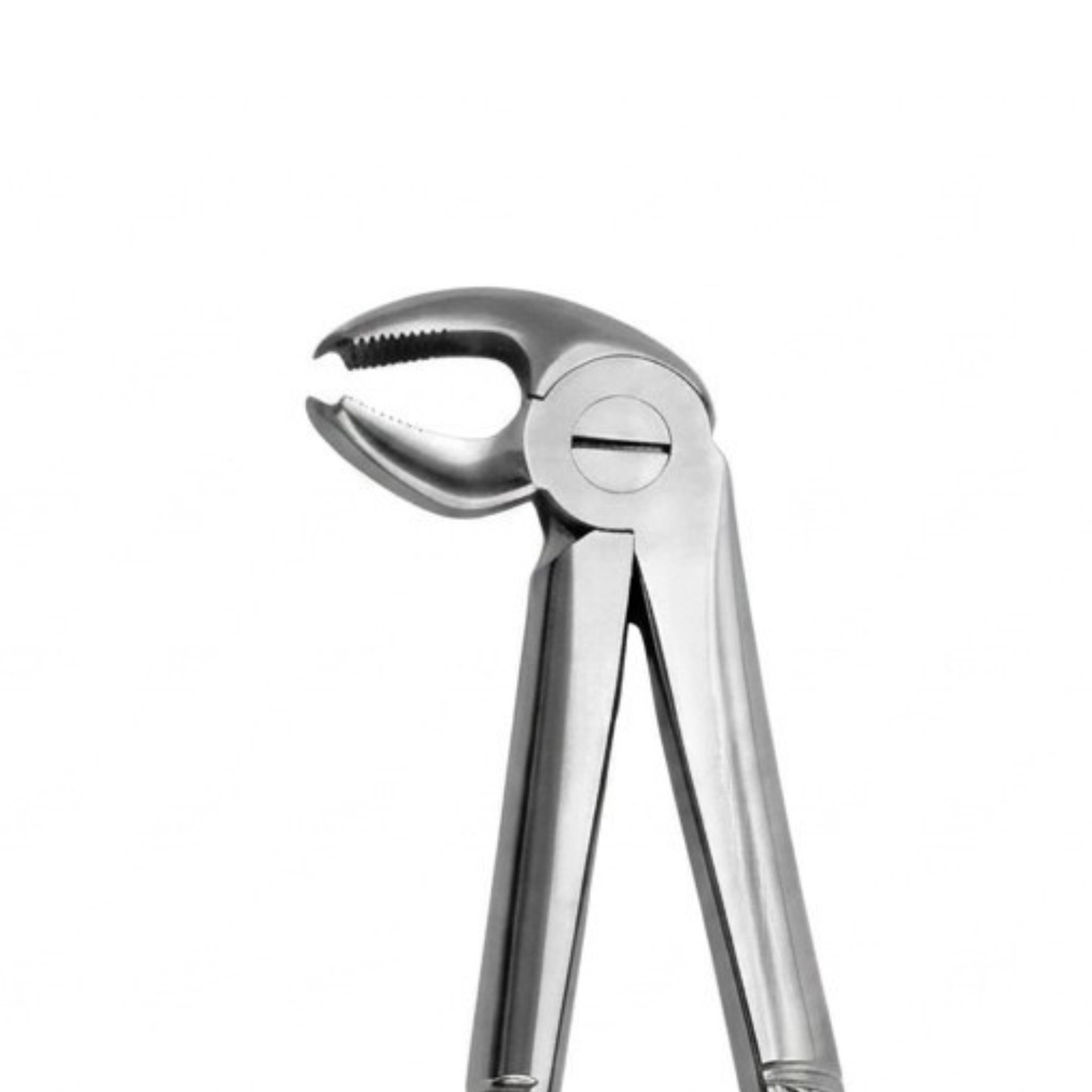 Lower Molars – dental standard forceps | ErgoDenta