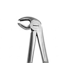 Lower Molars – dental standard forceps | ErgoDenta