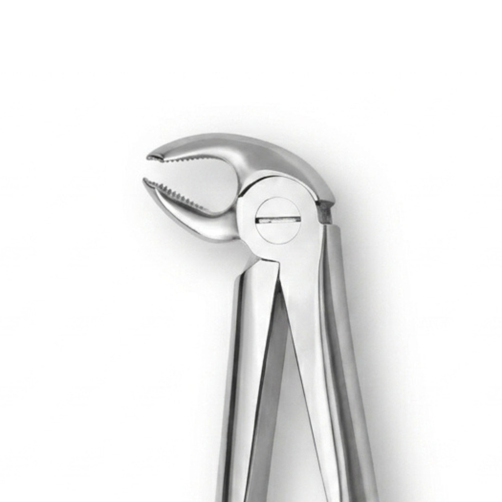 Lower Molars, Left – dental standard forceps | ErgoDenta