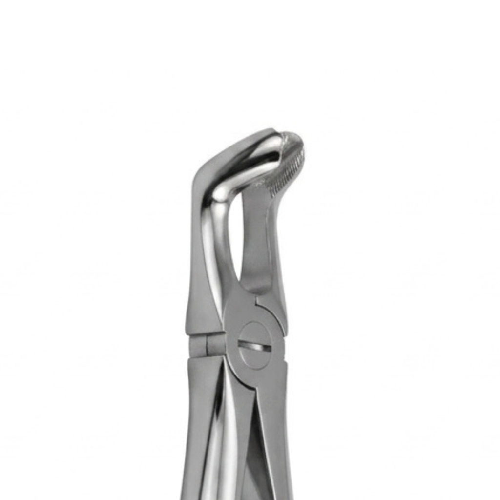 Lower Wisdom Teeth – dental standard forceps | ErgoDenta