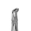 Lower Wisdom Teeth – dental standard forceps | ErgoDenta