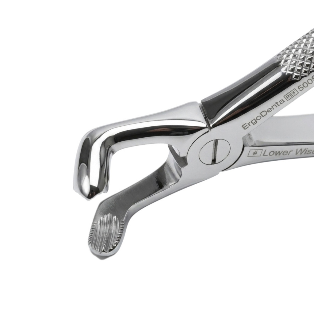 Lower Wisdom Teeth – dental standard forceps | ErgoDenta