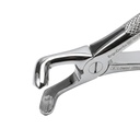 Lower Wisdom Teeth – dental standard forceps | ErgoDenta