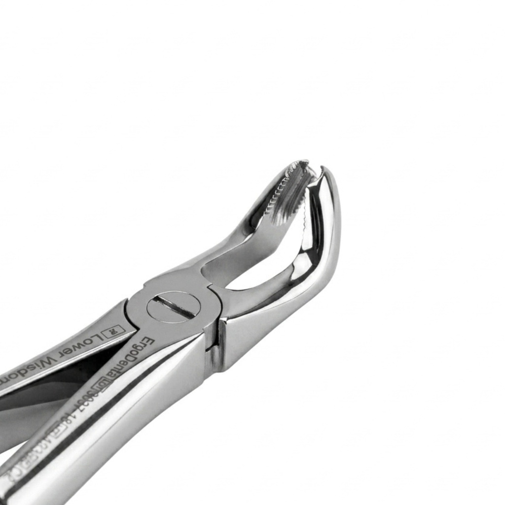 Lower Wisdom Teeth – dental standard forceps | ErgoDenta
