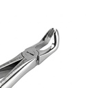 Lower Wisdom Teeth – dental standard forceps | ErgoDenta
