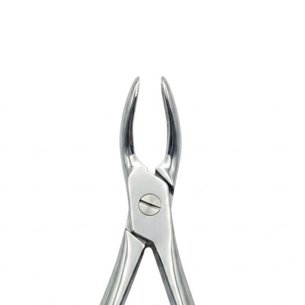 Universal-Lower Roots – dental standard forceps | ErgoDenta