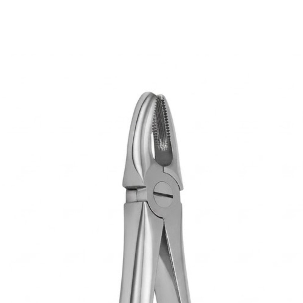 Upper Incisors and Molars – dental standard forceps | ErgoDenta