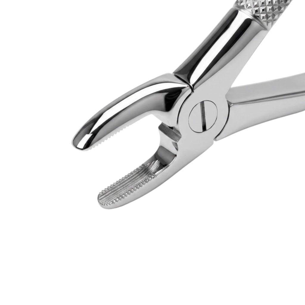 Upper Incisors and Molars – dental standard forceps | ErgoDenta
