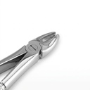 Upper Incisors and Molars – dental standard forceps | ErgoDenta