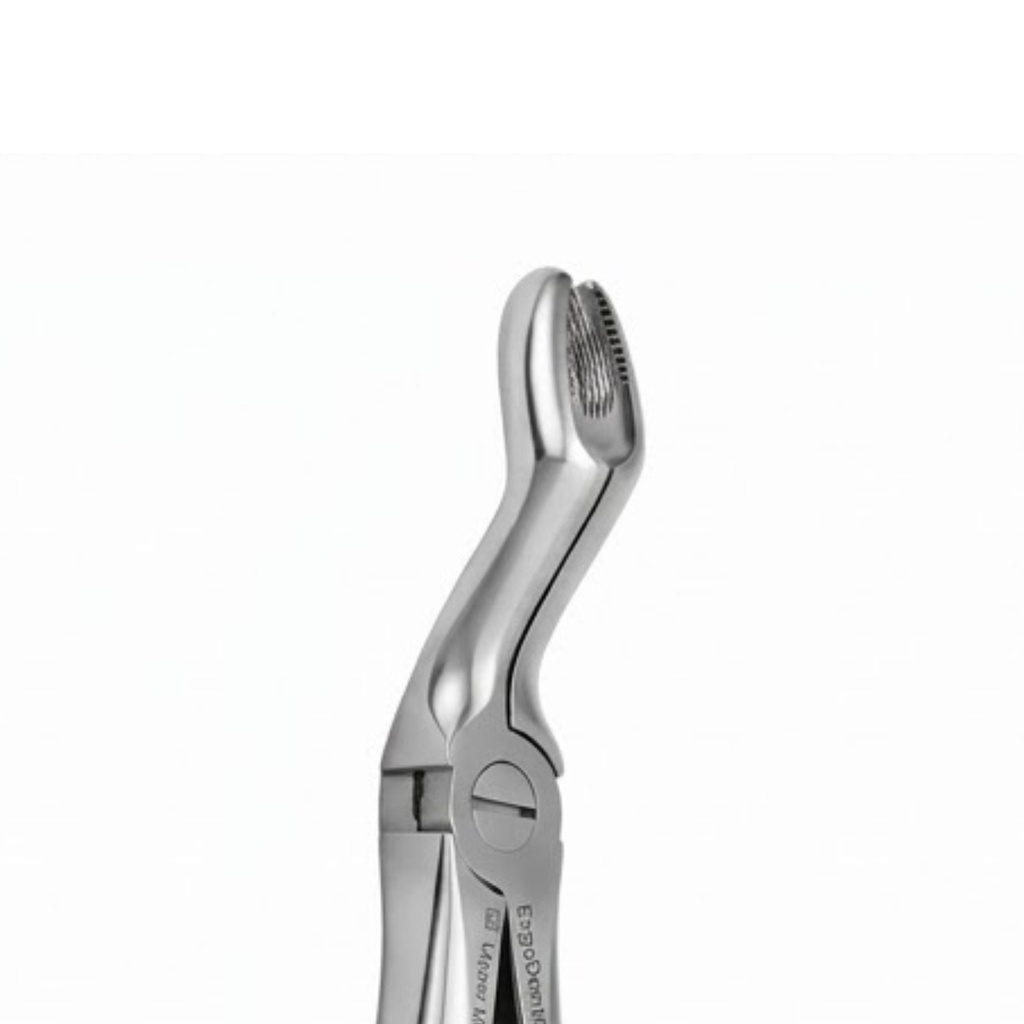 Upper Molars for Upper Wisdom Teeth – dental standard forceps | ErgoDenta