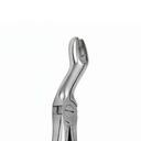Upper Molars for Upper Wisdom Teeth – dental standard forceps | ErgoDenta