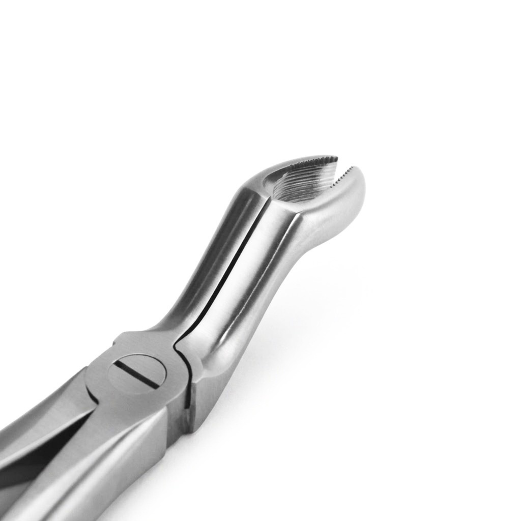 Upper Molars for Upper Wisdom Teeth – dental standard forceps | ErgoDenta