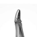 Upper Premolars – dental standard forceps | ErgoDenta