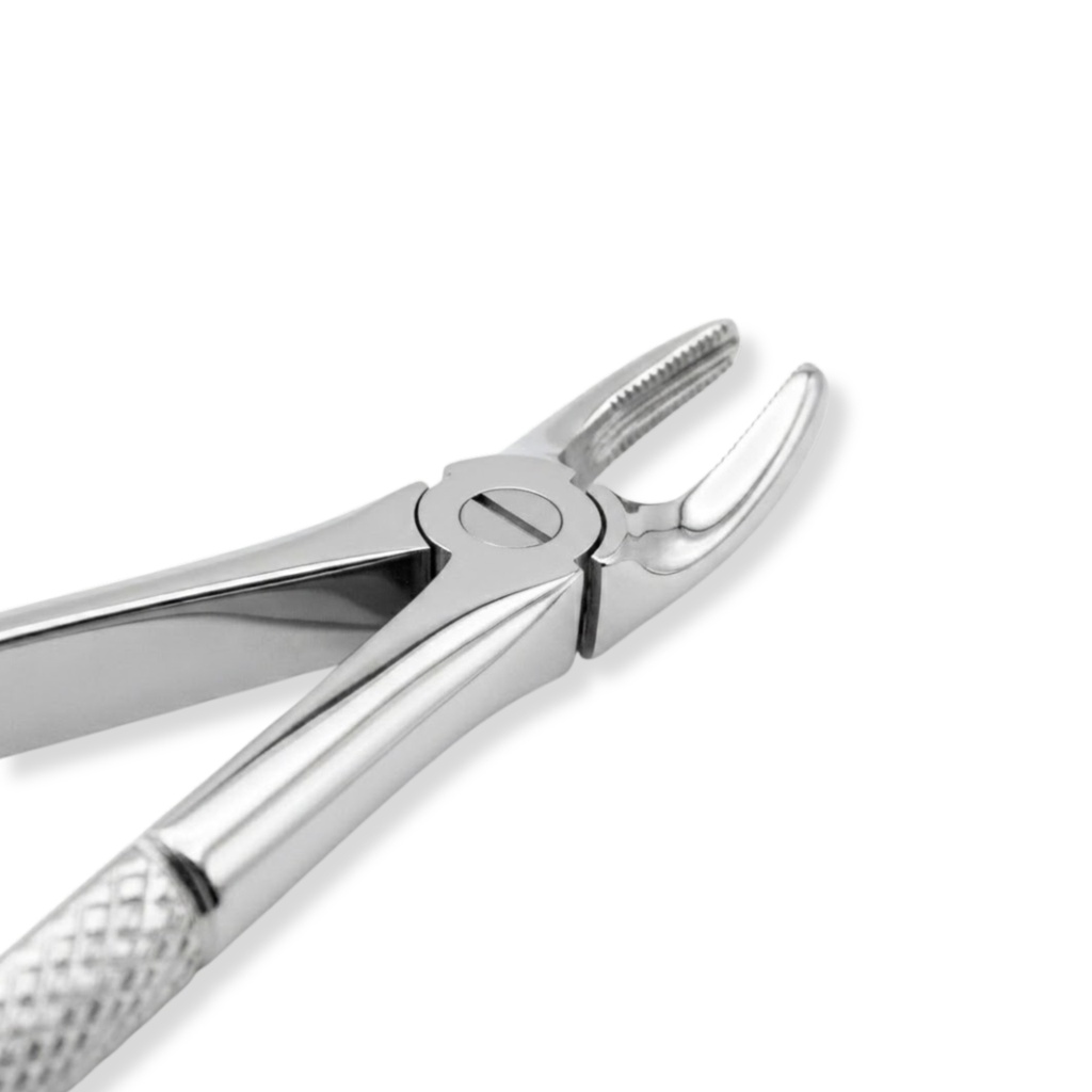 Upper Premolars – dental standard forceps | ErgoDenta