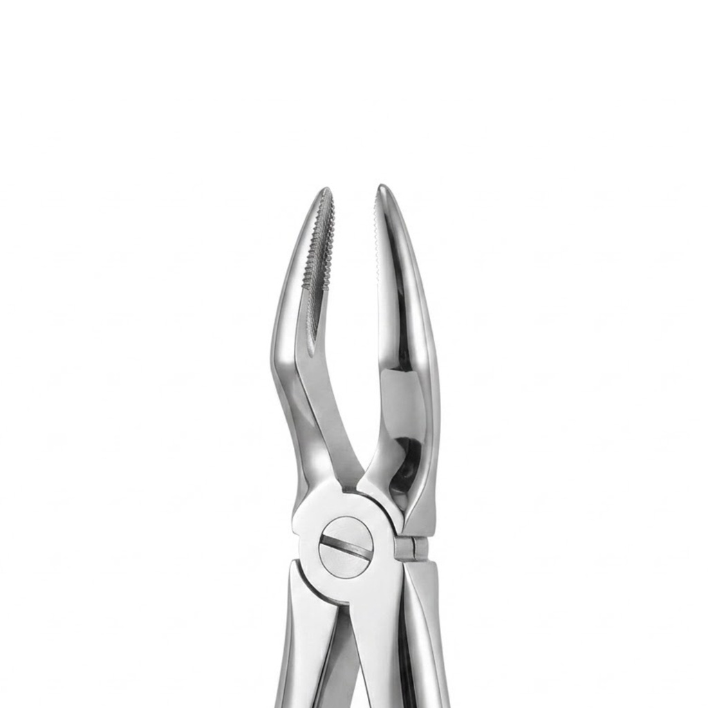 Upper Roots – dental standard forceps | ErgoDenta