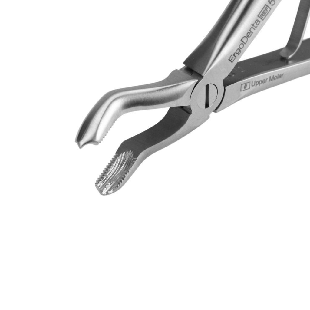 Fig. 3 Upper Molars – dental pediatric extraction forceps | ErgoDenta