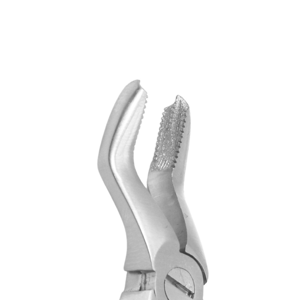 Fig. 3 Upper Molars – dental diamond child forceps | ErgoDenta