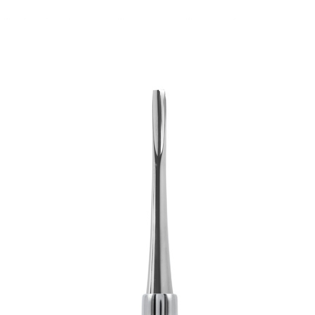 Bein Root Elevator, Straight, Fig. 2 – dental root elevators | ErgoDenta