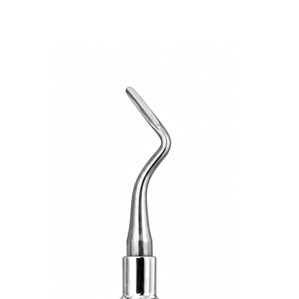 Flohr Root Elevator, Left – dental root elevators | ErgoDenta