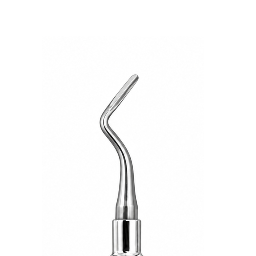 Flohr Root Elevator, Right – dental root elevators | ErgoDenta